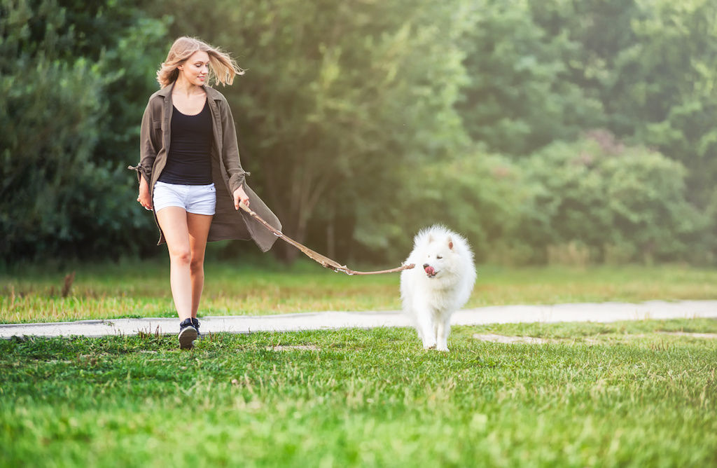 Woman taking dog on walk in park near apartment